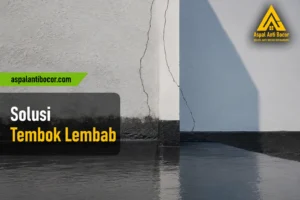 Solusi Tembok Lembab: 7 Cara Mengatasi hingga Tuntas