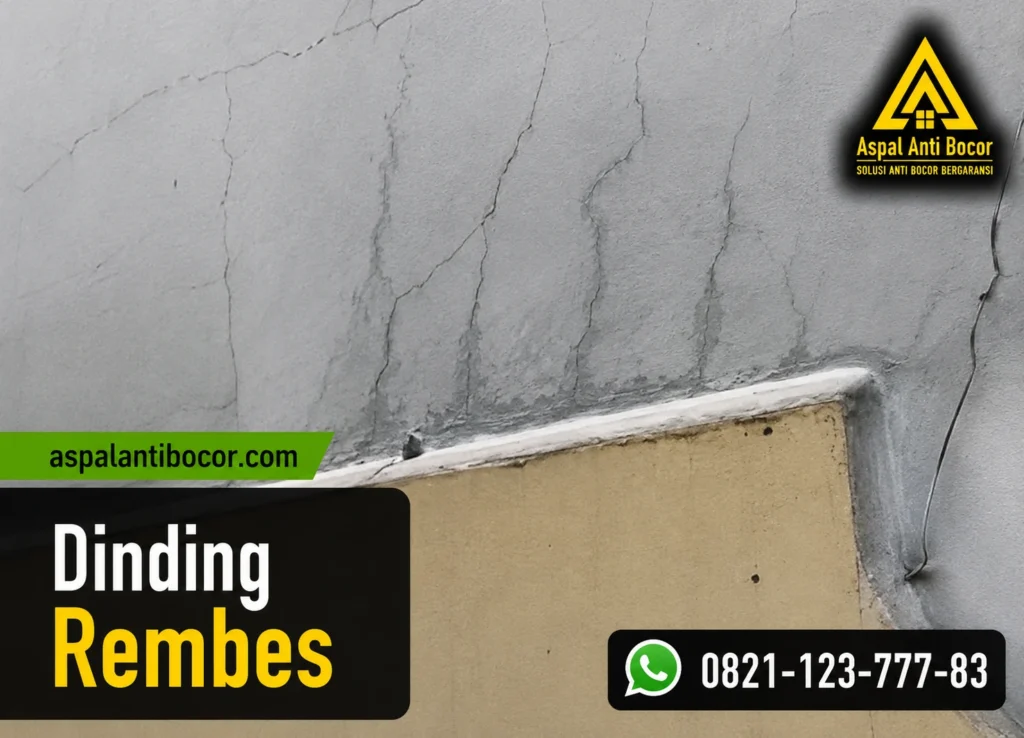 Aspal Anti Bocor - Dinding Rembes Penyebab, Bahaya, dan Solusi Terbaik