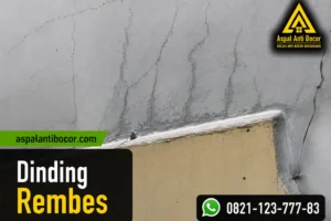 Dinding Rembes: Penyebab, Bahaya, dan Solusi Terbaik