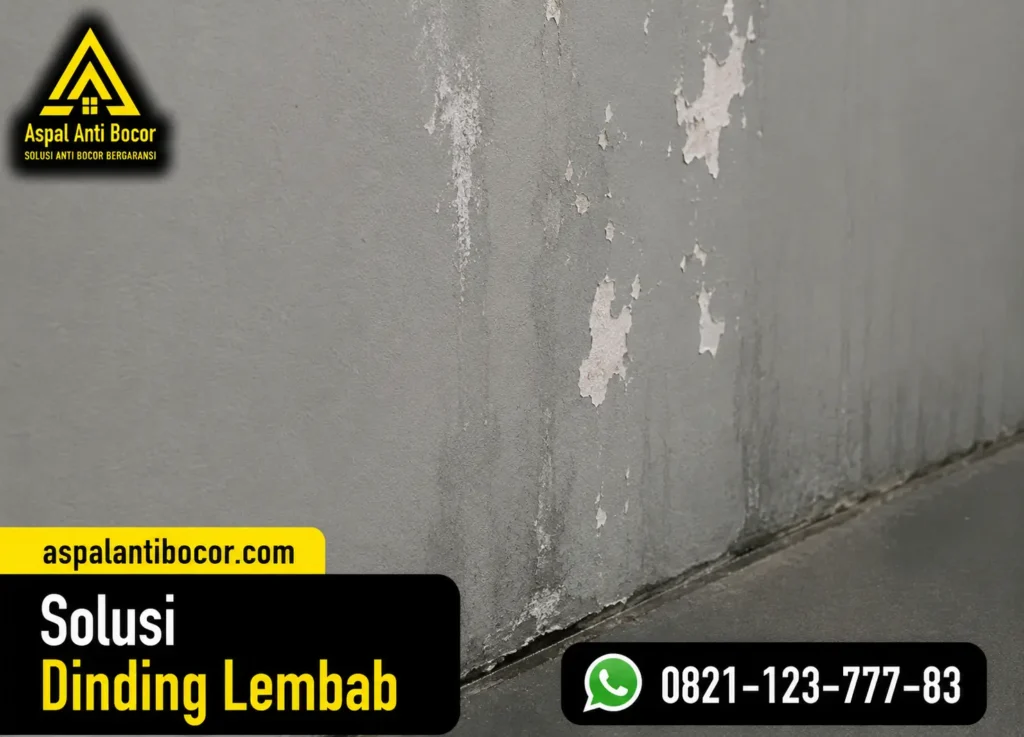Aspal Anti Bocor - Solusi Dinding Lembab