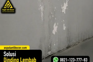 Solusi Dinding Lembab, Atasi Rembesan Air hingga Tuntas