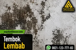 Tembok Lembab: 7 Penyebab dan Cara Mengatasinya