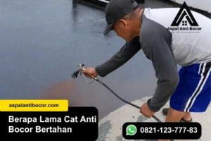 Berapa Lama Cat Anti Bocor Bertahan? Ini Faktanya